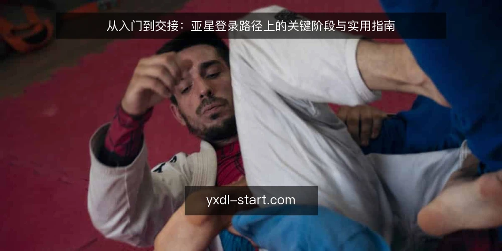 从入门到交接:亚星登录路径上的关键阶段与实用指南 — 明确起点:理解亚星登录的基本流程 配图